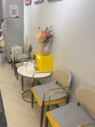 -洗脸猫·洗脸吧