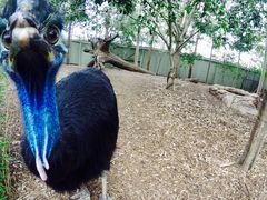 -费瑟代尔野生动物园