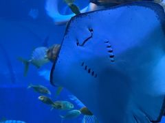 -太平洋海底世界