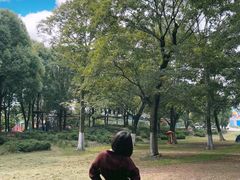 -秀丽东方