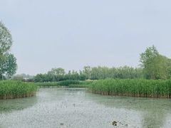 -大兴滨河森林公园