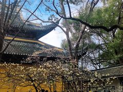 -西园戒幢律寺