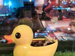 -小吊梨汤·北京菜·烤鸭(双井乐成中心店)