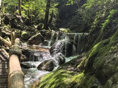 -牛背梁国家森林公园