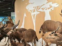 -陕西自然博物馆