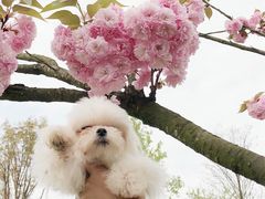 -白鹭湾湿地公园