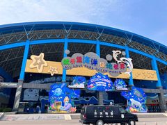 -泉城欧乐堡海洋极地世界