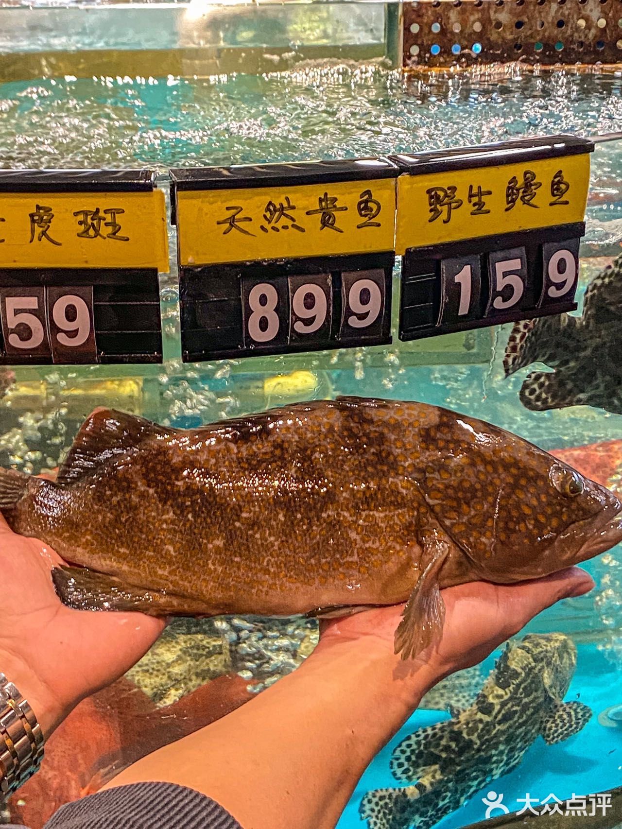 在福州！！带长辈来吃被狂夸的海鲜！！