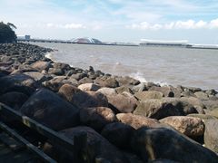 -吴淞炮台湾湿地森林公园烧烤区