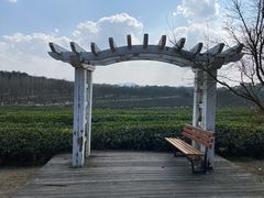 -凤凰沟景区