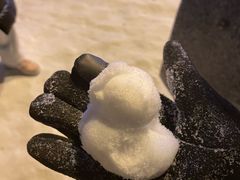 -哈尔滨热雪奇迹