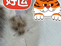 -派联宠物医院·24h·CT·异宠