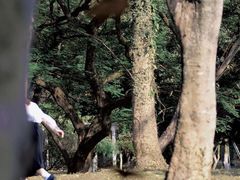 -杭州半山国家森林公园