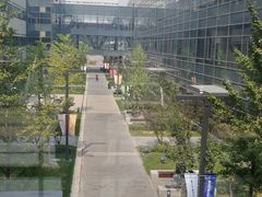 -首都医科大学附属北京天坛医院