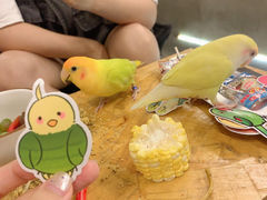 -吾叁·吉趣鸟咖(万科店)