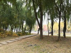 -沈阳职业技术学院