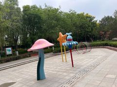 -大兴滨河森林公园