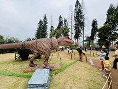 -自贡恐龙博物馆