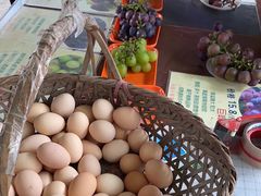 -马陆小张葡萄园农家乐