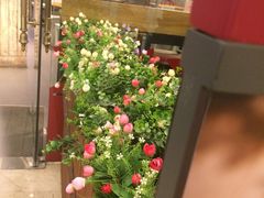 -COSTA COFFEE(上海月星环球港店)