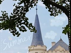 -北京张裕爱斐堡酒庄