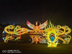 -武汉园博园(武汉自然博物馆)