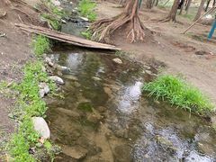 -白水寺森林公园