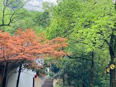 -方岩风景区