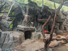 -青藏高原野生动物园