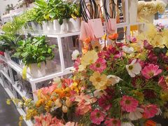 -KKV(重庆东原悦荟主力店)