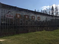 景点-上海长兴岛郊野公园