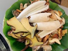 -野菌园·野生菌火锅首创第一家(关兴路总店)