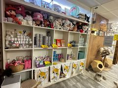 -楼上猫咖(罗湖店)
