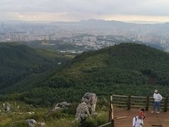 -长虫山生态公园风景林