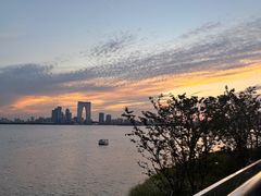 -金鸡湖景区