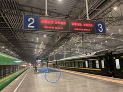 -阜阳站