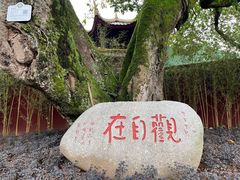-峨眉山报国寺