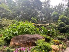 -深圳仙湖植物园