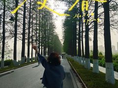 -东湖落雁景区