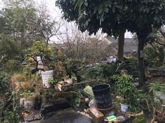 -许家山
