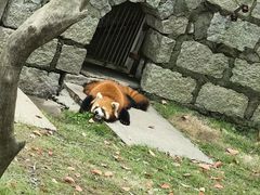 -上海野生动物园