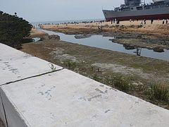 -日照海滨国家森林公园