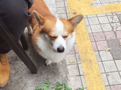 -小梁哥云吞面(黄贝岭店)