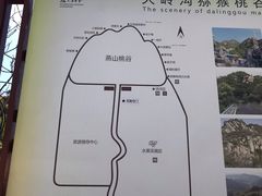 -大岭沟猕猴桃谷风景区