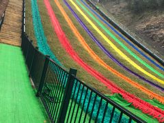 -梦幻奥陶纪景区