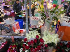 -花鸟鱼虫鲜花绿植市场(玉泉路店)