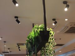 -比格比萨自助(宋家庄店)
