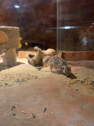 -酷嗒动物文化乐园(cutezoo西溪乐天城店)