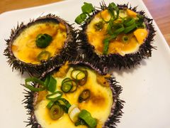 -海胆小馆(东北水饺·春柳店)