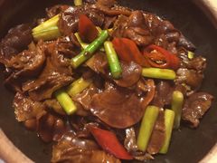 铁板榆耳-禧和源养生素食茶馆